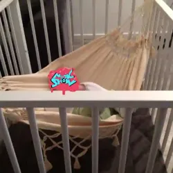 Hamac Bébé