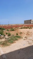 Terrain à Raoued à Cite Des Juges