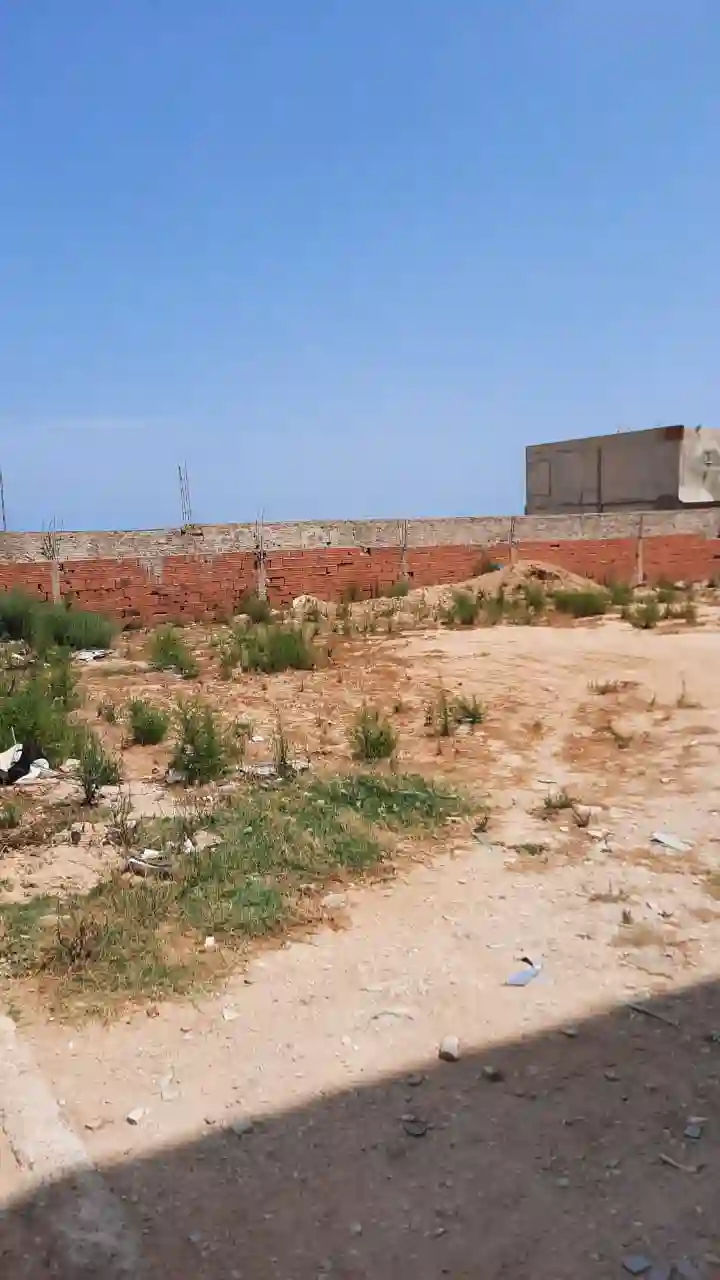 Terrain à Raoued à Cite Des Juges