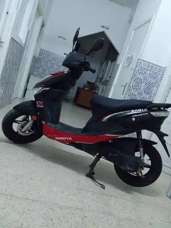 Zimota Eagle 50 à Vendre - Vue 1