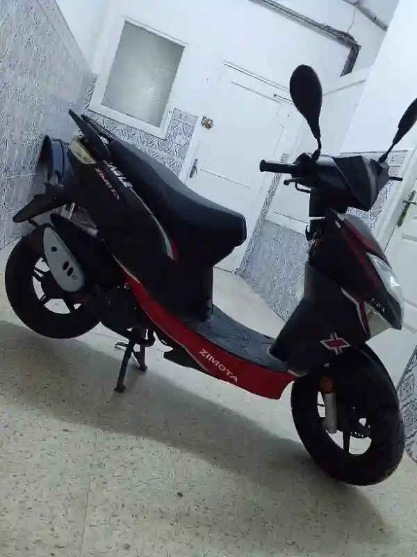 Zimota Eagle 50 à Vendre - Vue 2