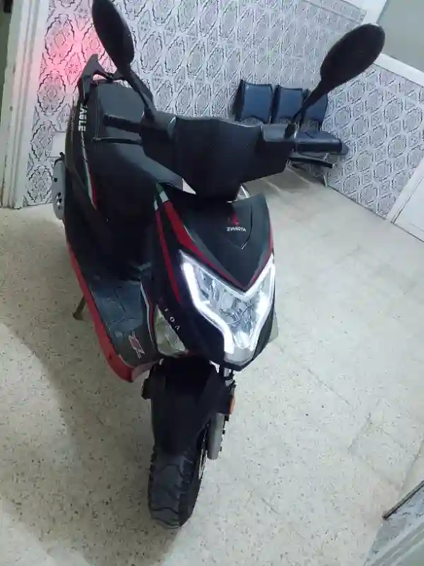 Zimota Eagle 50 à Vendre - Vue 4