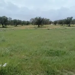 Forssa 290m a 32 md à Hammamet sud