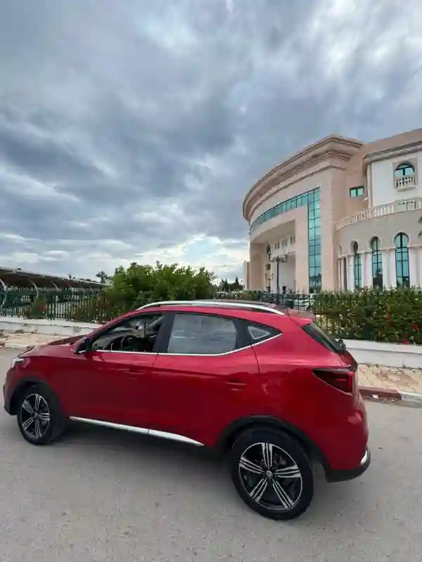 MG Zs Essence 2020 - Vue 6