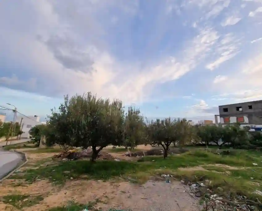 Terrain vue de mer de 1122 m² à Vendre à Hammamet Nord 51355351 - Vue 6
