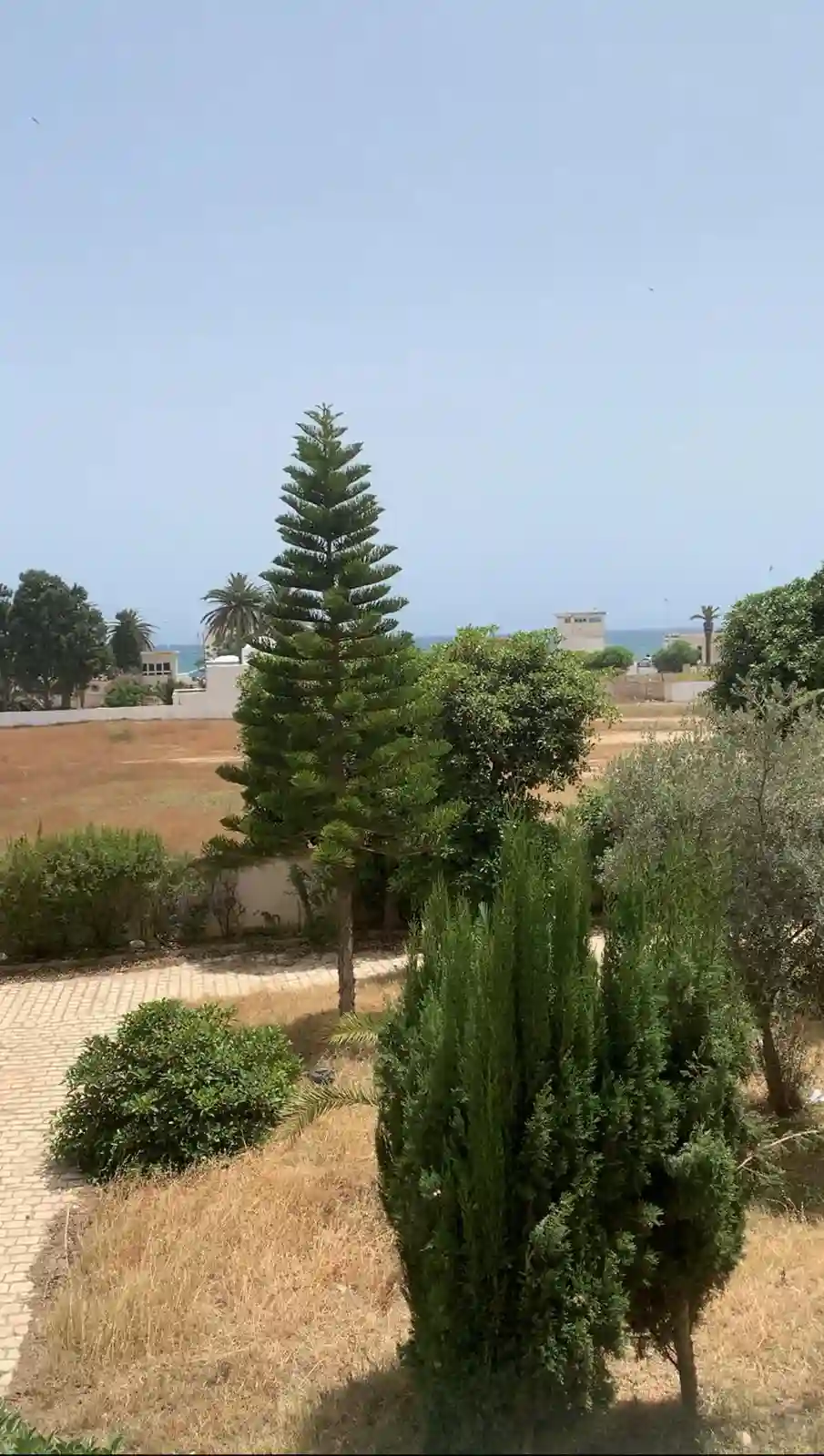 a Vendre Appartement s2 vue mer Nabeul - Vue 4