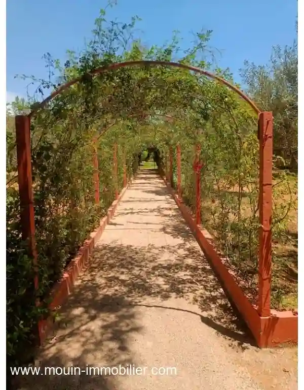 Villa red al à Hammamet sud - Vue 4