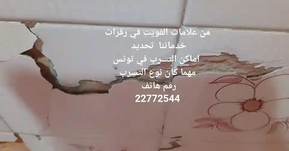 Détection de Fuite eau Sans Casse Tunisie à Bembla - Vue 3
