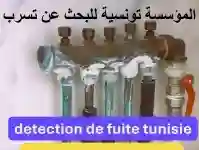 Recherche Détection Tous Types de Fuite Tunisie - Vue 2