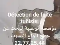 Recherche Détection Tous Types de Fuite Tunisie - Vue 4