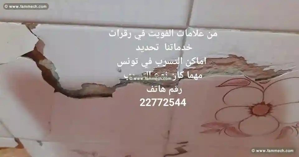 Recherche Détection Tous Types de Fuite Tunisie - Vue 5