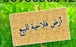 أرض فلاحية للبيع