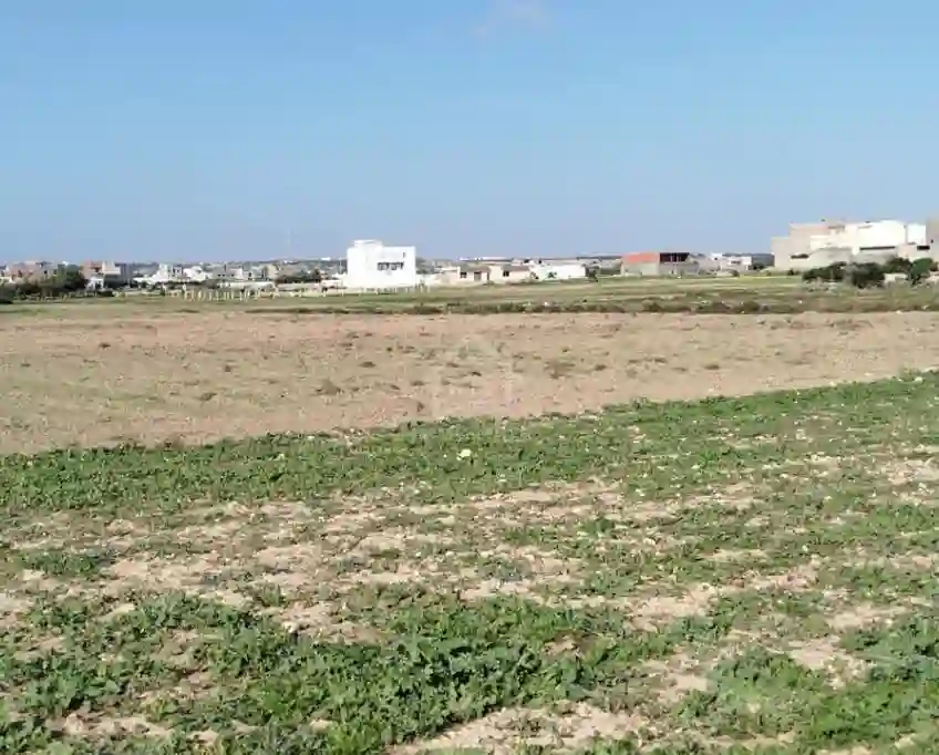 Un Terrain de 669 m² à Maamoura à Vendre 51355351