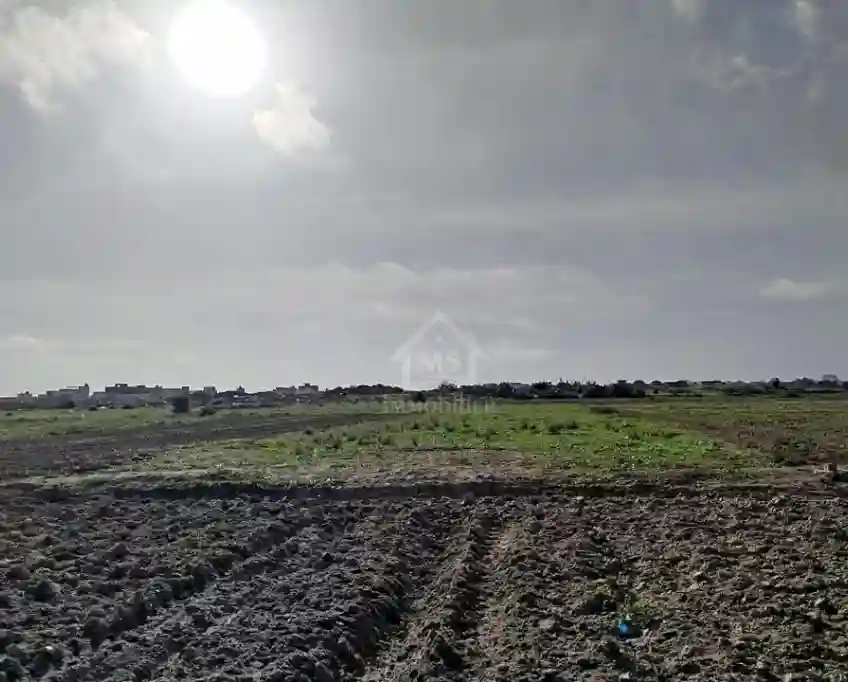Un Terrain de 669 m² à Maamoura à Vendre 51355351 - Vue 2