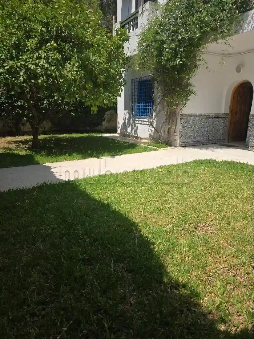 A Louer Appartement Avec Jardin
