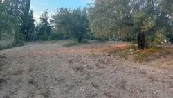 أرض للبيع