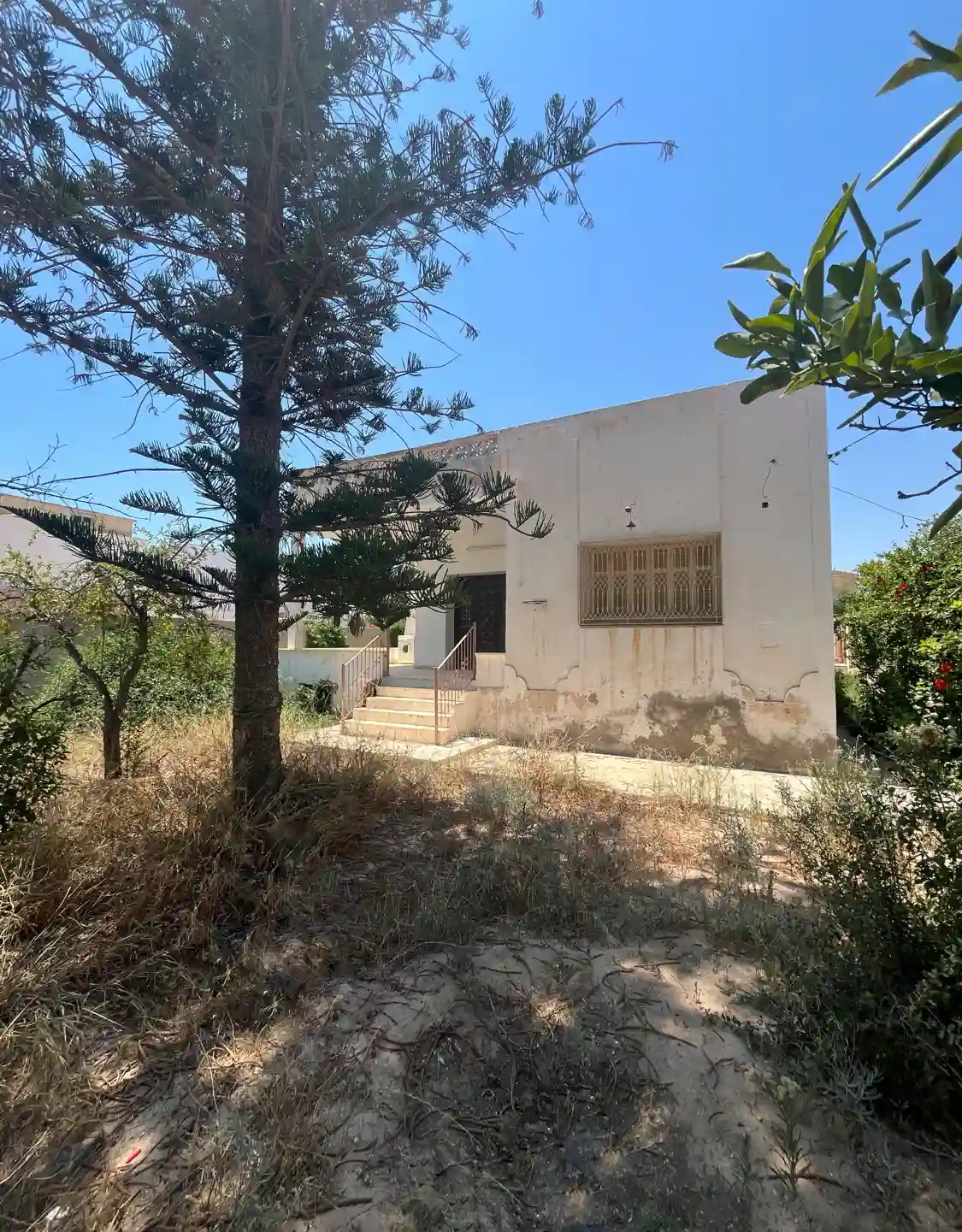 Maison Entre rte Teniour et Kaied Mhamed à Caid Mhamed - Vue 3