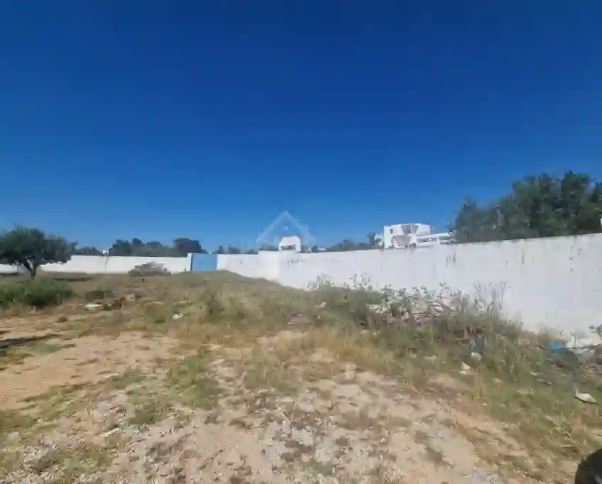 Superbe Terrain de 1000 m² à Mrezga à Vendre 51355351