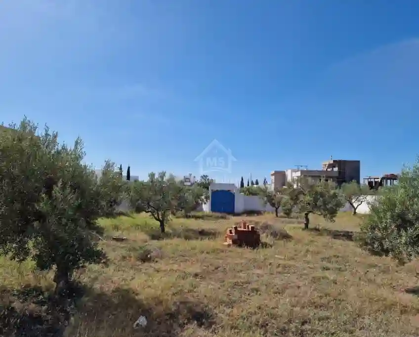 Superbe Terrain de 1000 m² à Mrezga à Vendre 51355351 - Vue 1