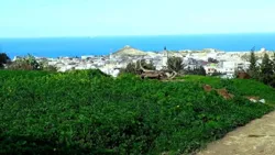 Terrain 820 m2 a Rafraf à Rafraf