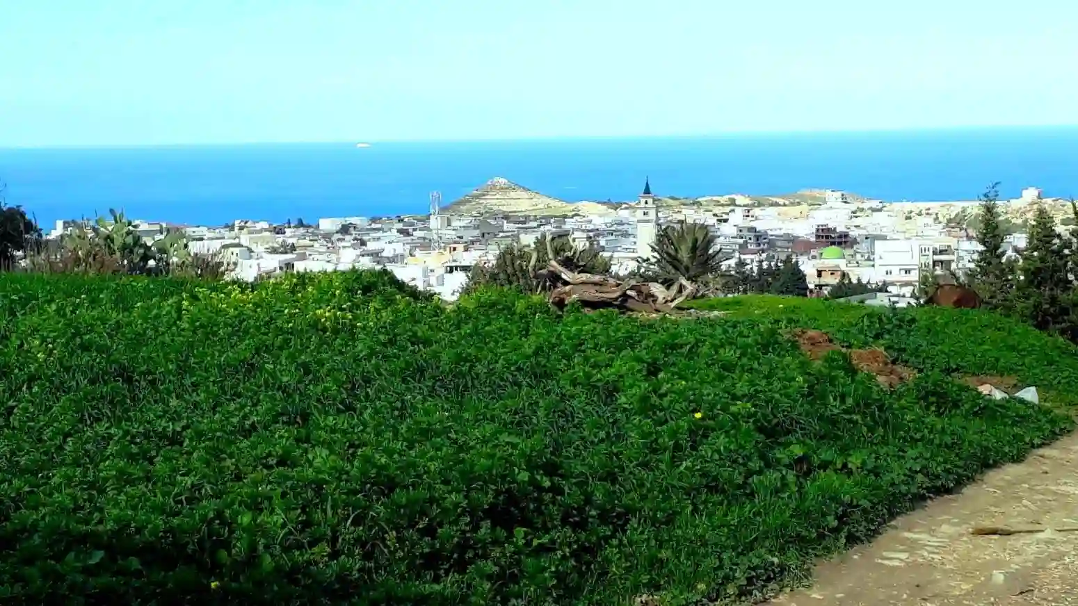 Terrain 820 m2 a Rafraf à Rafraf