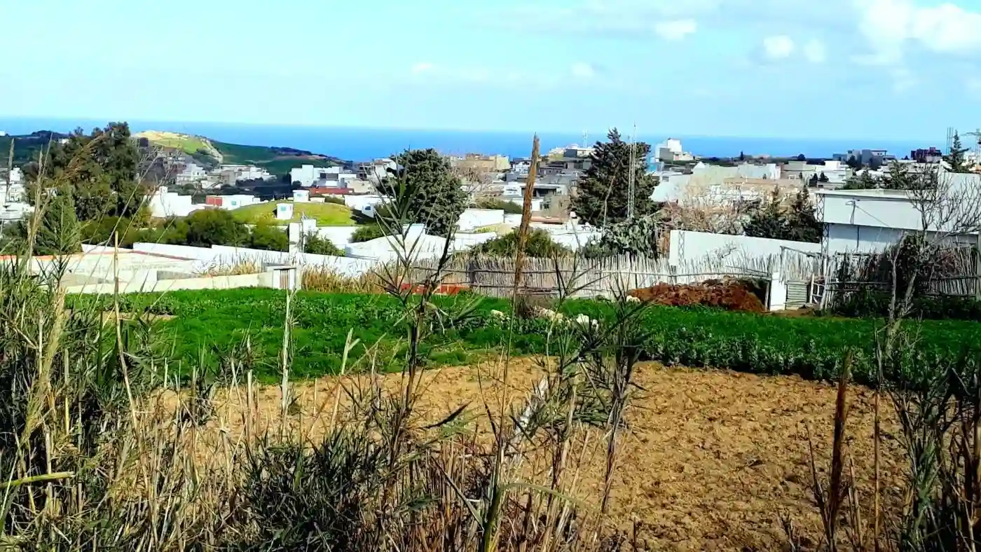 Terrain 820 m2 a Rafraf à Rafraf - Vue 2