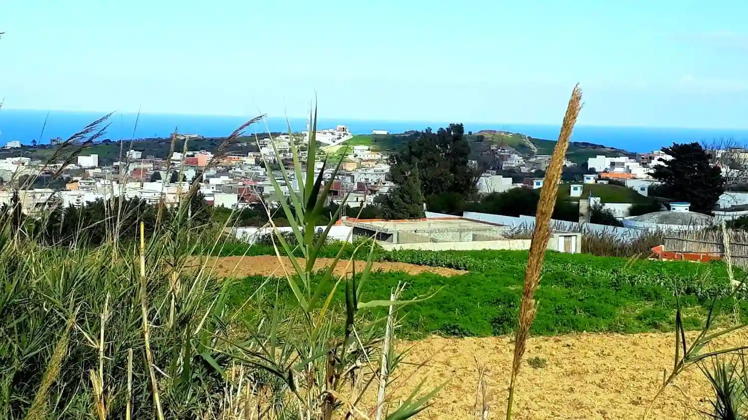 Terrain 820 m2 a Rafraf à Rafraf - Vue 4