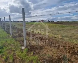 1 Hectare Planté D'oliviers à Hammamet sud à Vendre 51355351