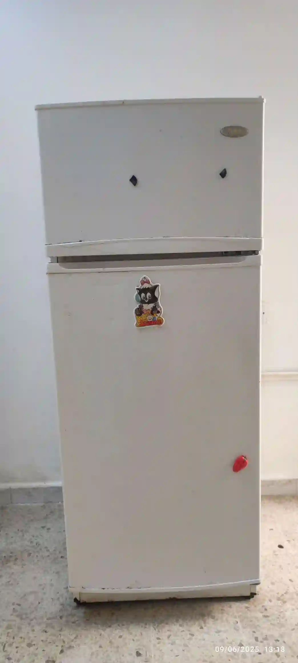 Réfrigérateur à Bab Souika