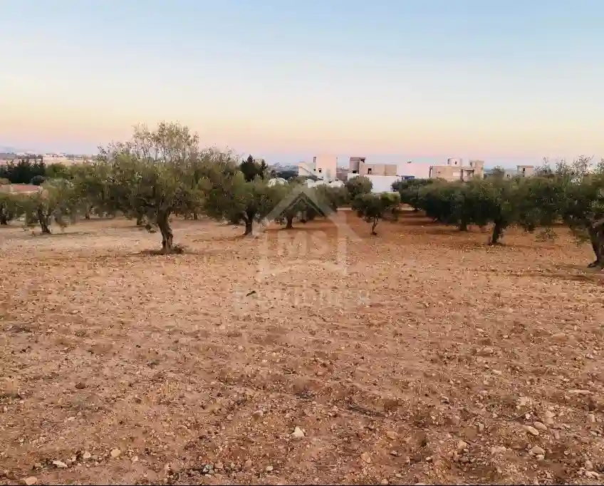 Terrain de 1000 m² à Vendre à 200 md à Hammamet sud 51355351 - Vue 1