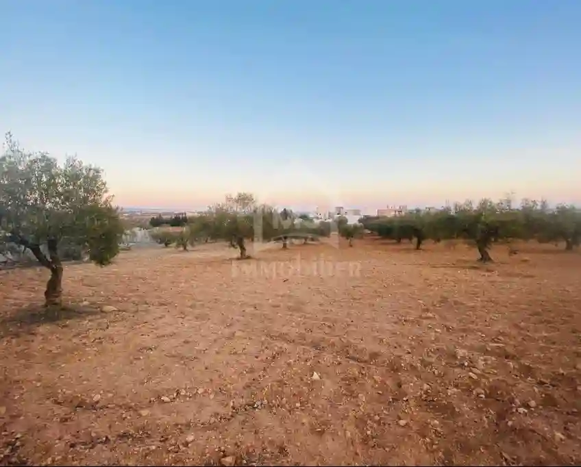 Terrain de 1000 m² à Vendre à 200 md à Hammamet sud 51355351 - Vue 2
