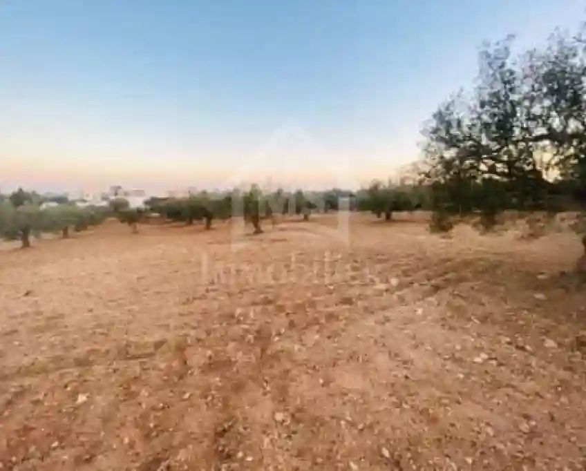 Terrain de 1000 m² à Vendre à 200 md à Hammamet sud 51355351 - Vue 3