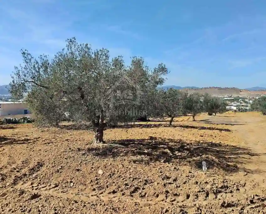 Un Terrain de 1688 m² à Vendre à Hammamet sud 51355351 - Vue 1