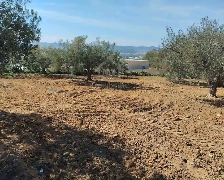 Un Terrain de 1688 m² à Vendre à Hammamet sud 51355351 - Vue 2