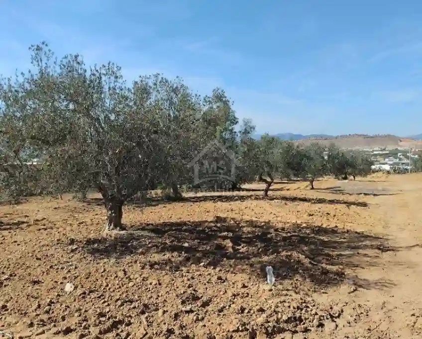 Un Terrain de 1688 m² à Vendre à Hammamet sud 51355351 - Vue 3