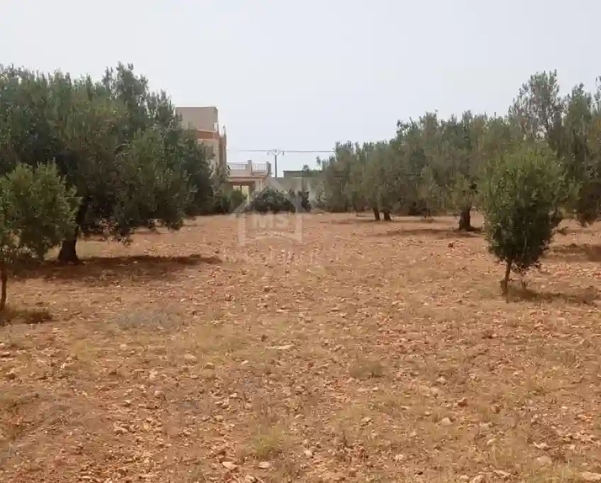 Terrain de 4800 m² à Sidi Mtir à Vendre à 270 md 51355351 - Vue 4