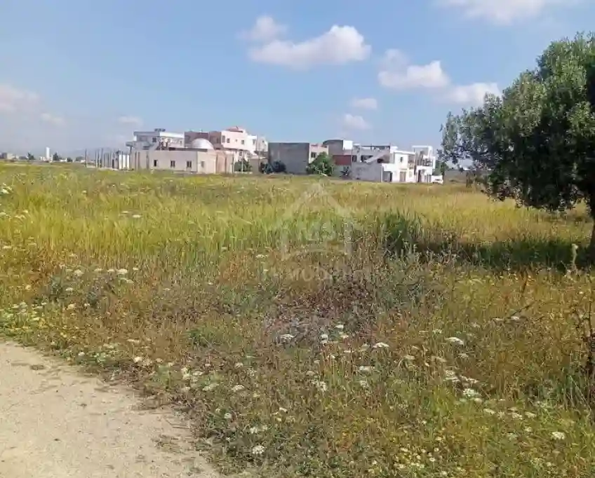 Un Terrain de 1000 m² à Km71 Coté Plage à Vendre 51355351 - Vue 1