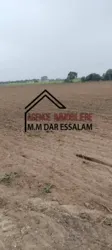 Terrain Agricole à Vendre