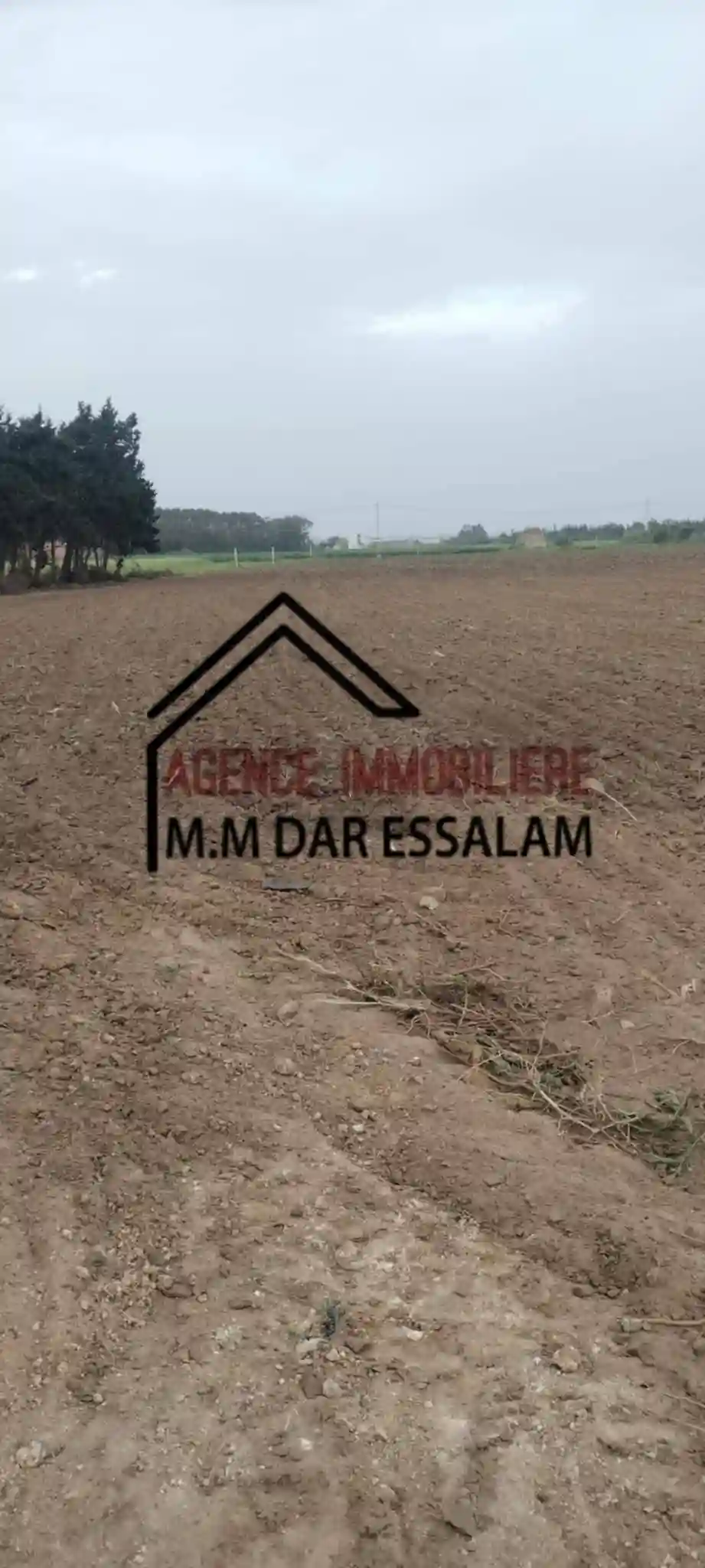 Terrain Agricole à Vendre - Vue 1