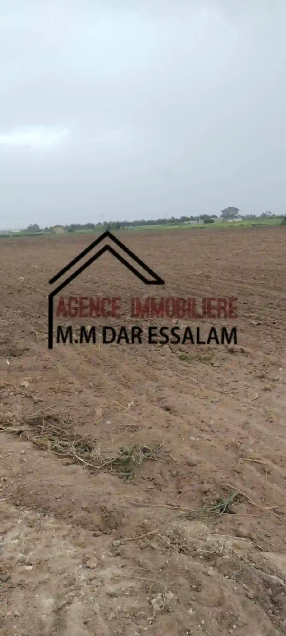 Terrain Agricole à Vendre - Vue 3