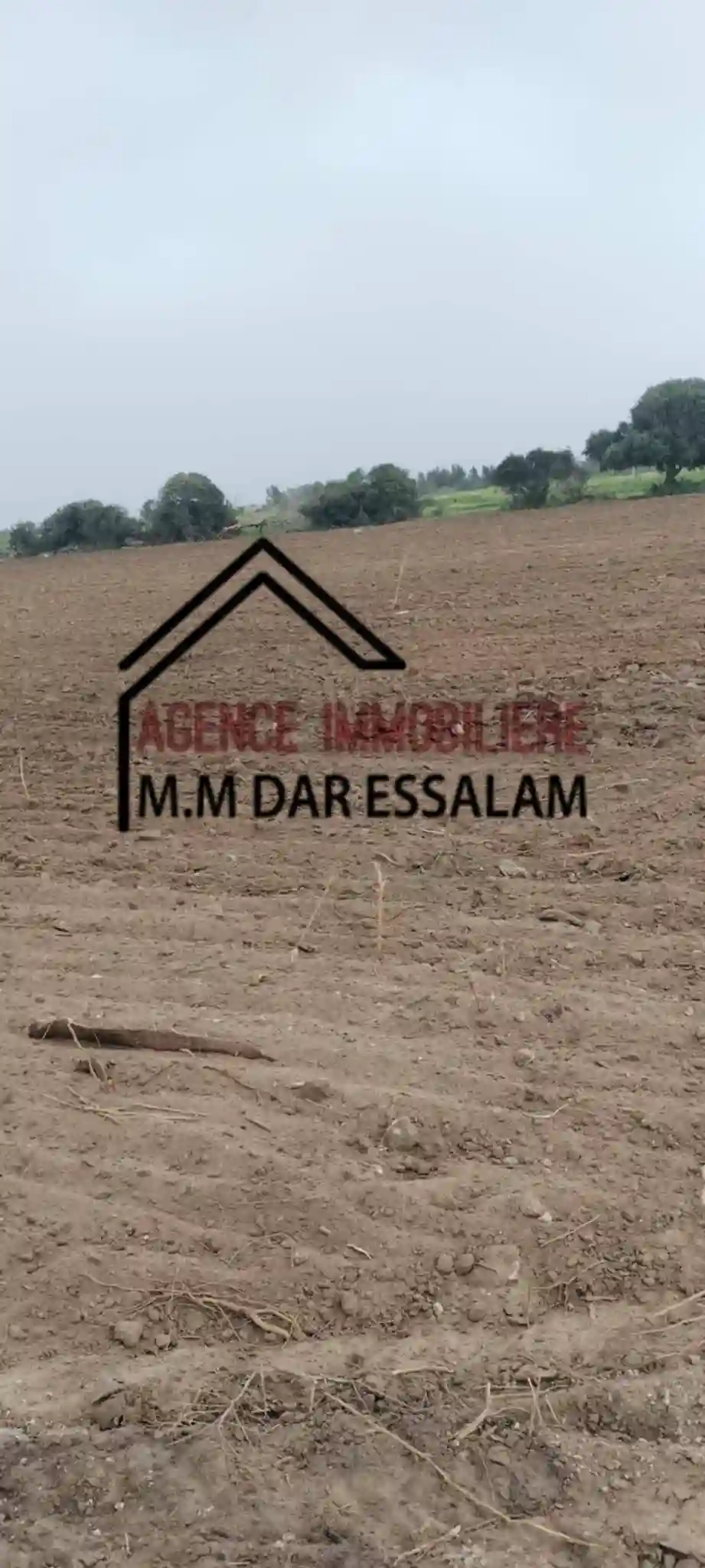 Terrain Agricole à Vendre - Vue 4