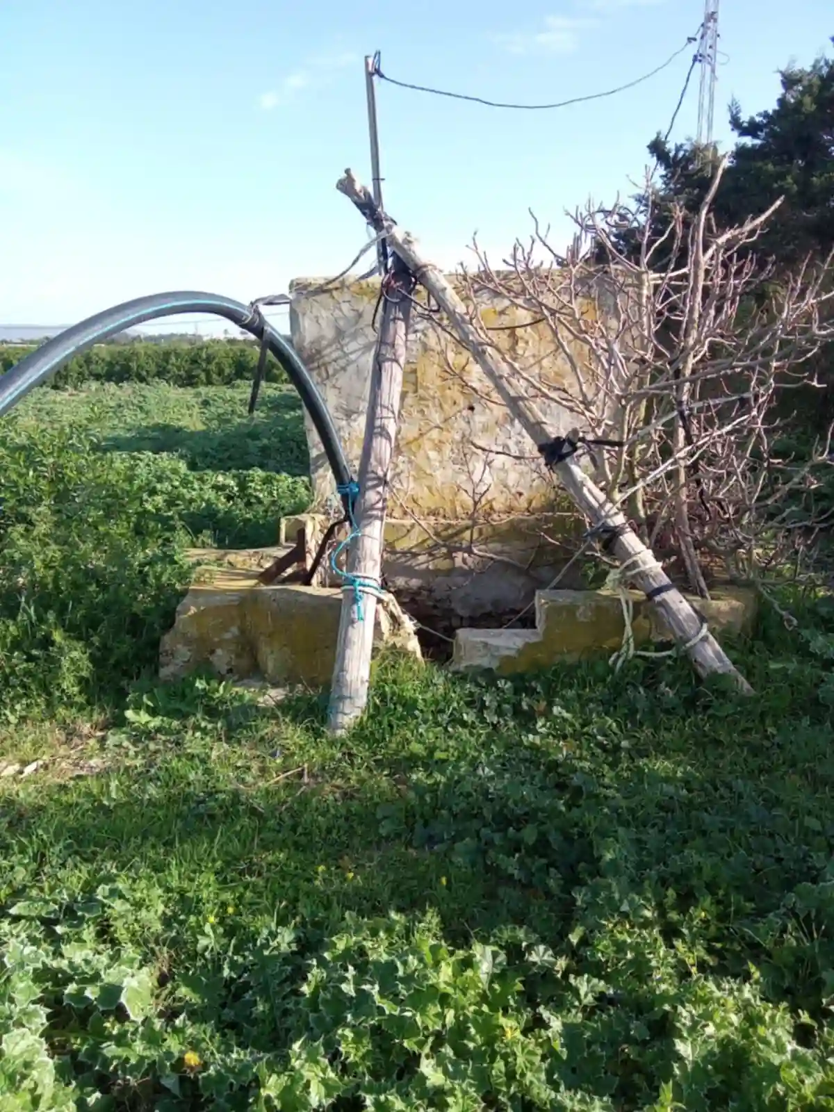 Hectar et 3000m2 Avec un Puit et Electrcité à El Haouaria - Vue 1