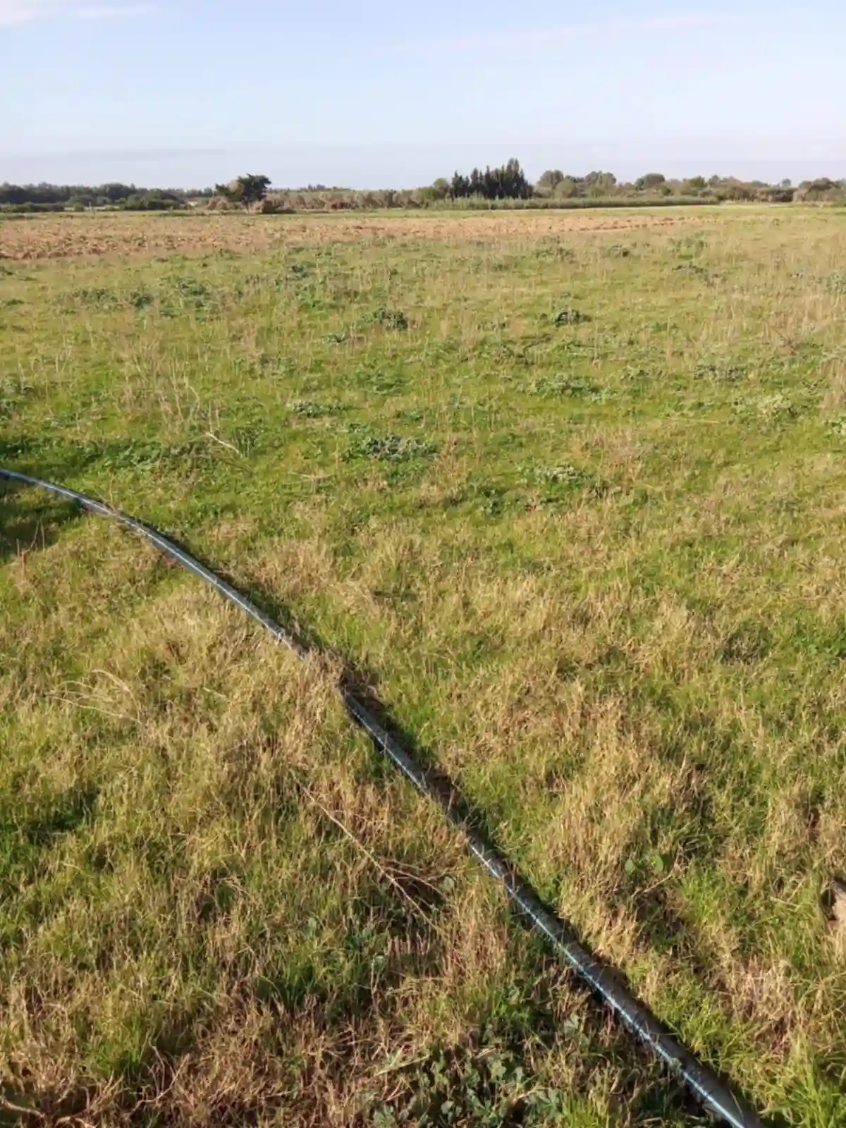 Hectar et 3000m2 Avec un Puit et Electrcité à El Haouaria - Vue 2
