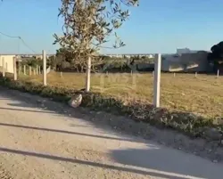 Un Terrain vue de mer à Vendre à Béni Khiar 51355351