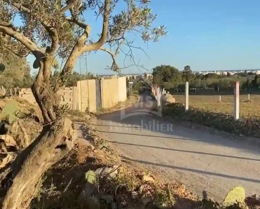 Un Terrain vue de mer à Vendre à Béni Khiar 51355351 - Vue 1