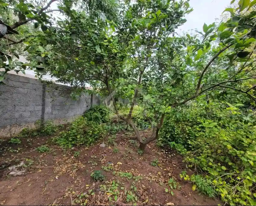 Terrain de 240 m² à Hammamet à Vendre à 110 md 51355351 - Vue 3