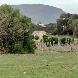 Terrain Agricole Près de la mer