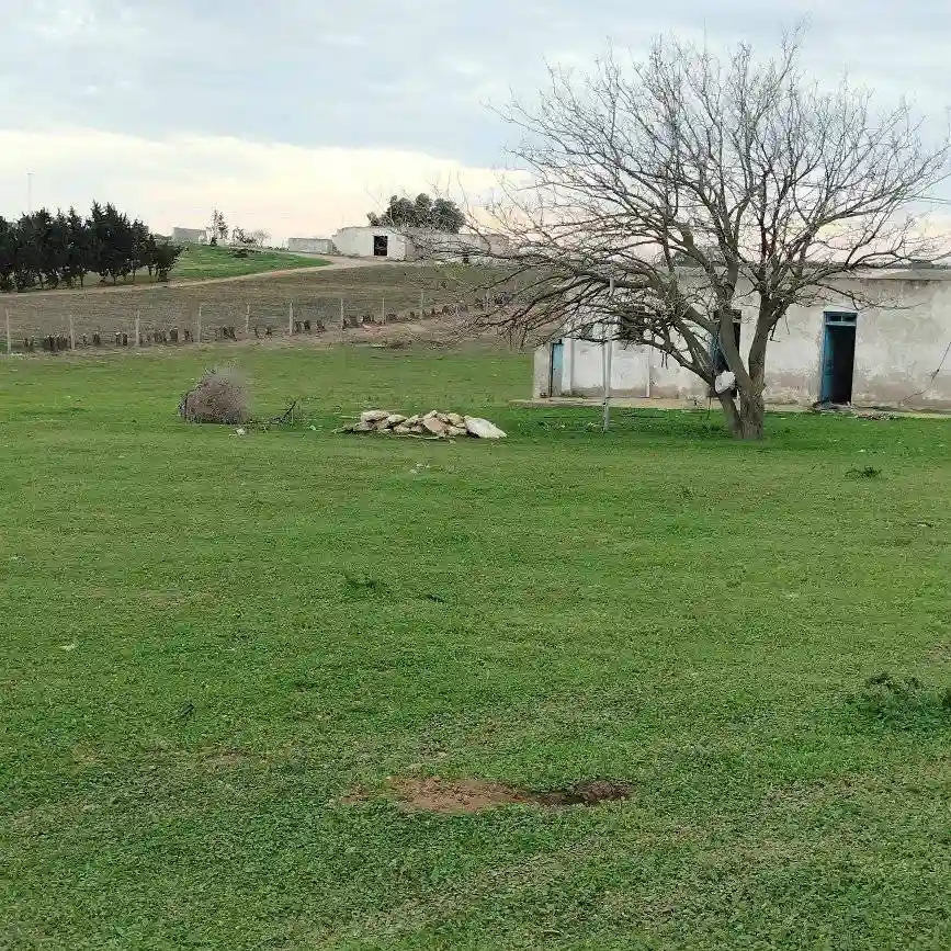 Terrain Agricole Près de la mer - Vue 2
