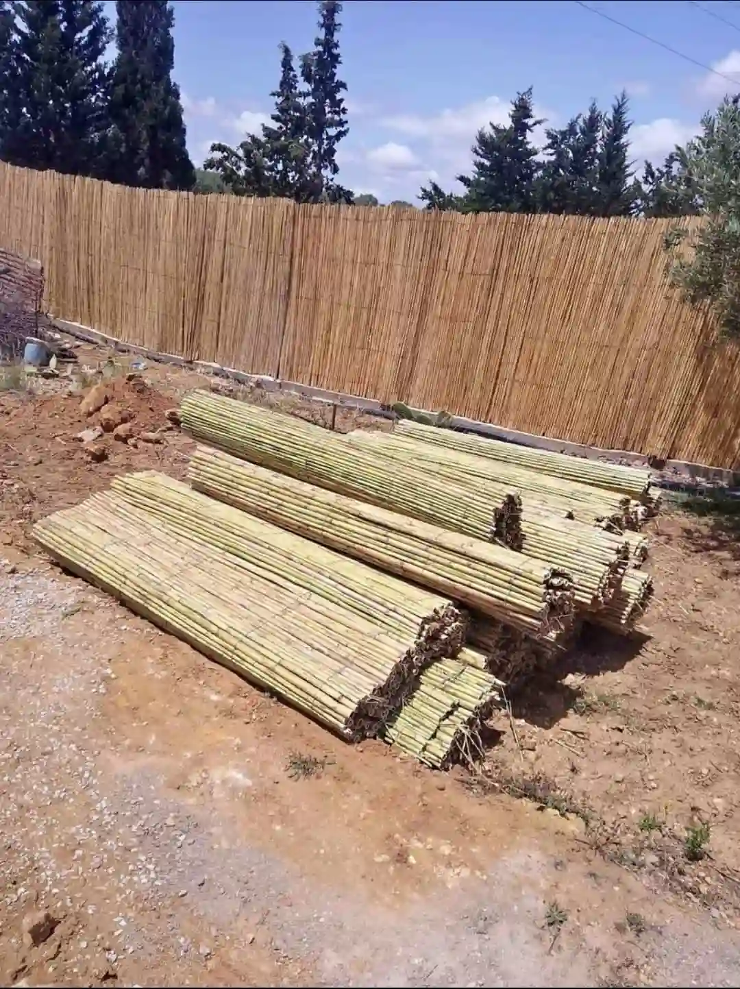 Cannisse Pour Décoration à El Haouaria