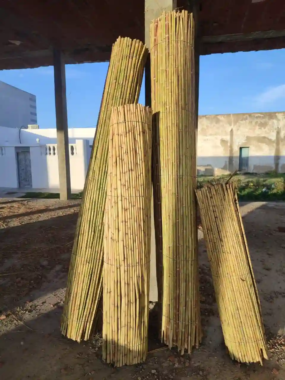 Cannisse Pour Décoration à El Haouaria - Vue 3